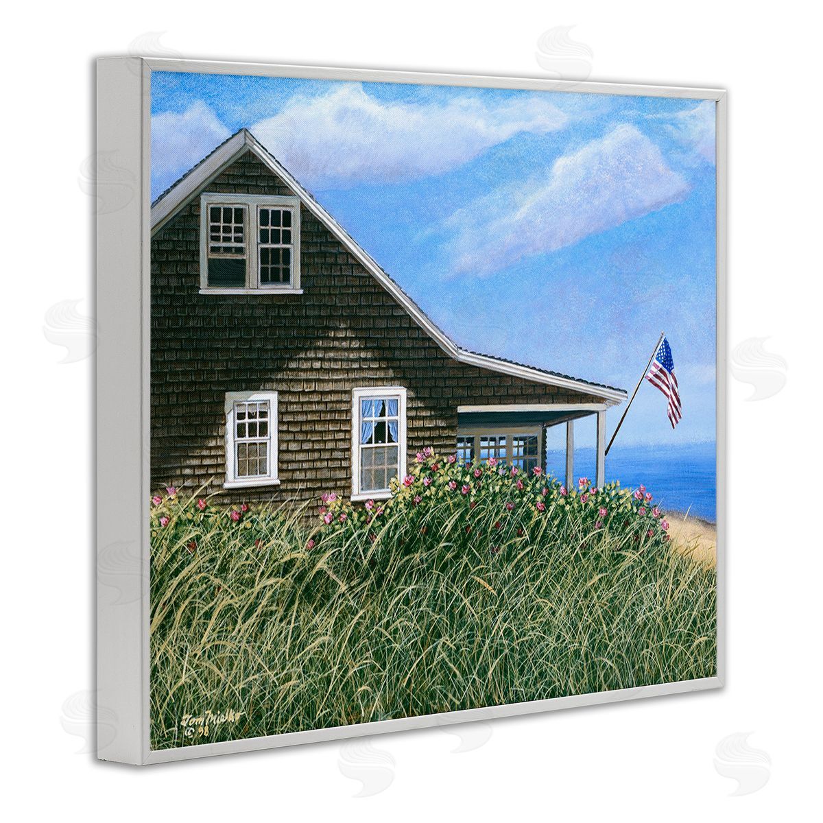 Tom Mielko Cape House with Flag