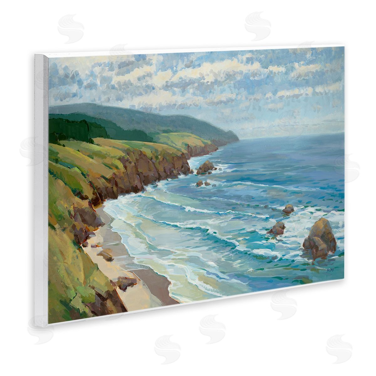 Scott Brems Overlooking Beach Cliffs