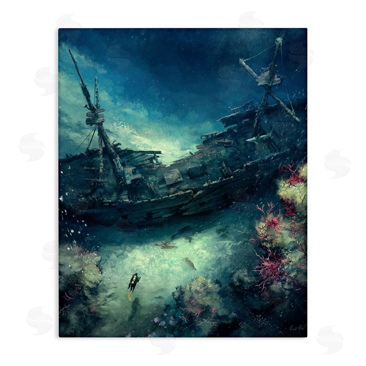Vlad Mel Deep Sea Shipwreck