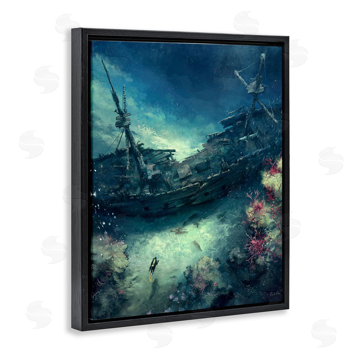 Vlad Mel Deep Sea Shipwreck