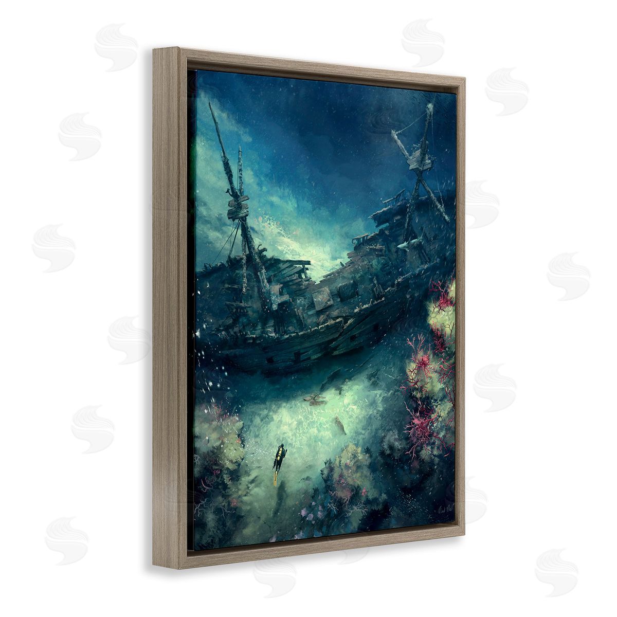 Vlad Mel Deep Sea Shipwreck