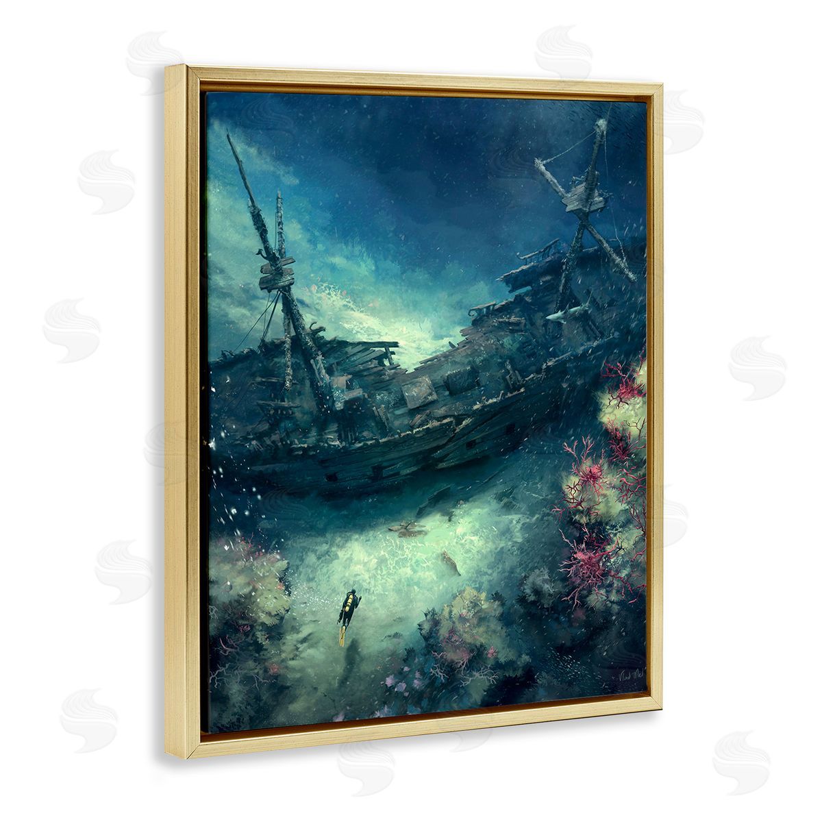 Vlad Mel Deep Sea Shipwreck