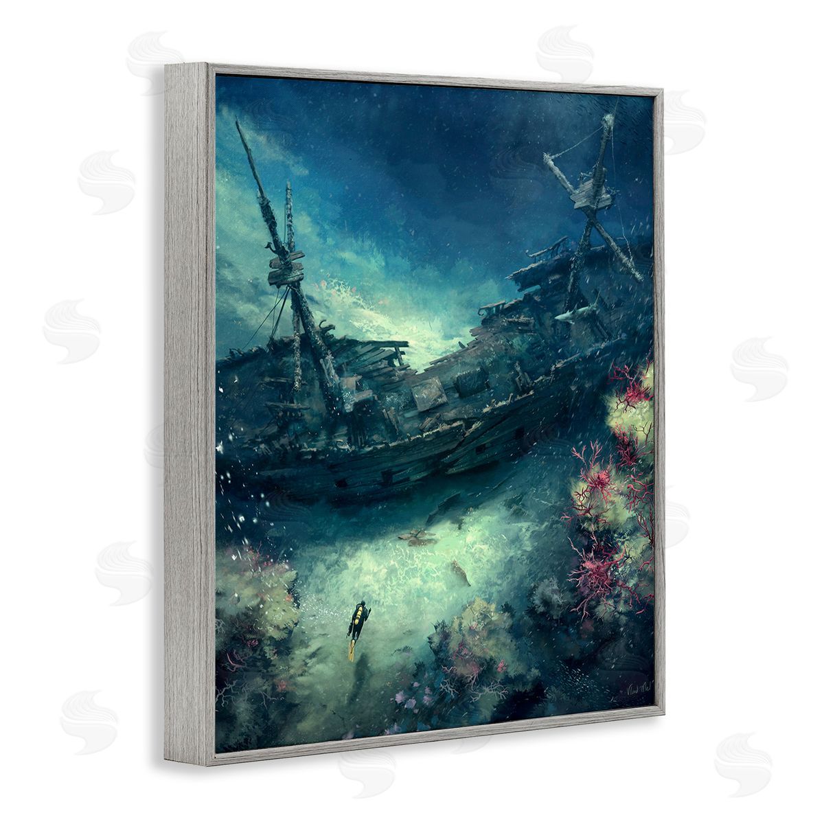 Vlad Mel Deep Sea Shipwreck
