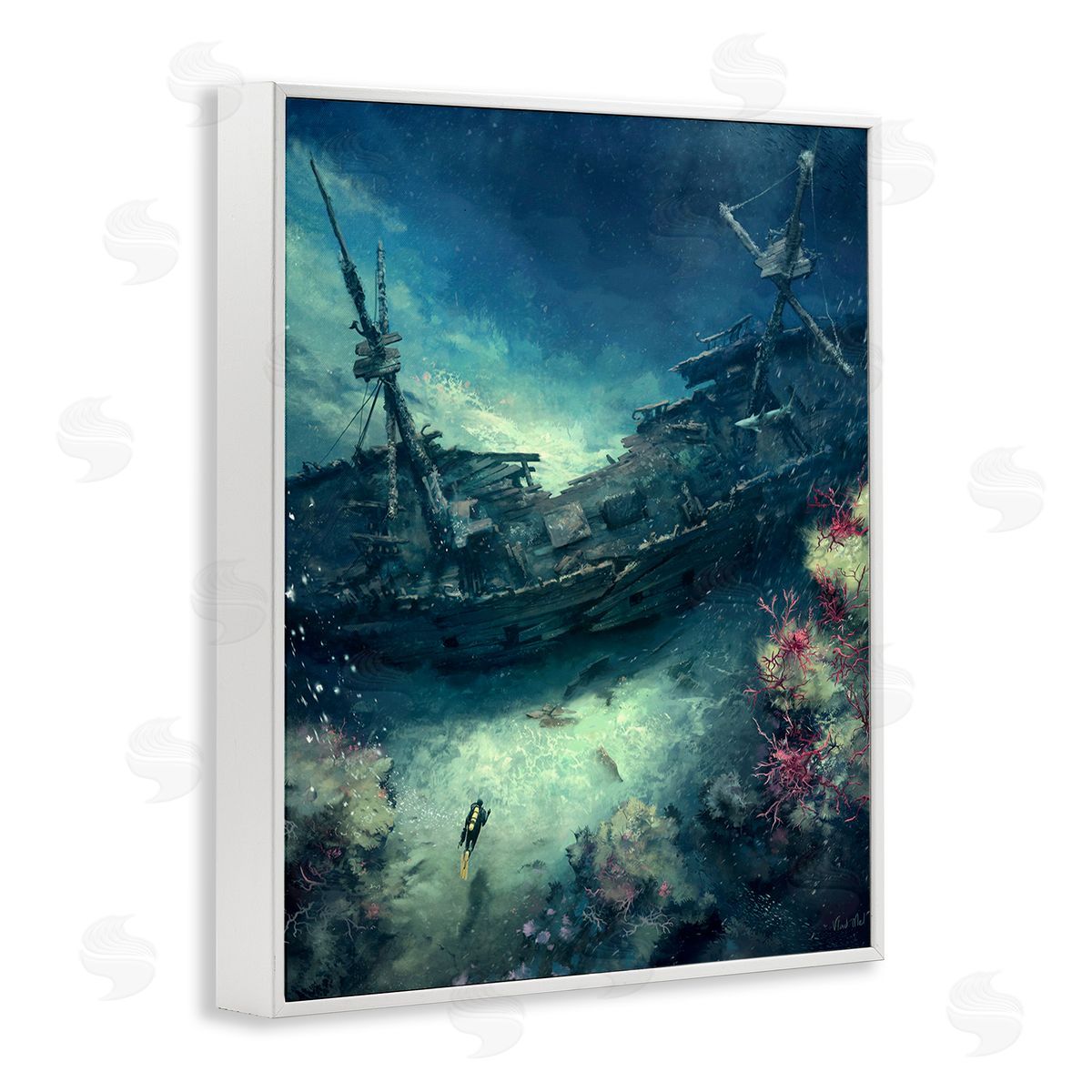 Vlad Mel Deep Sea Shipwreck
