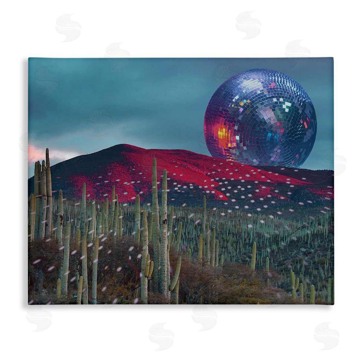 Stupell Studio Disco Ball in Desert
