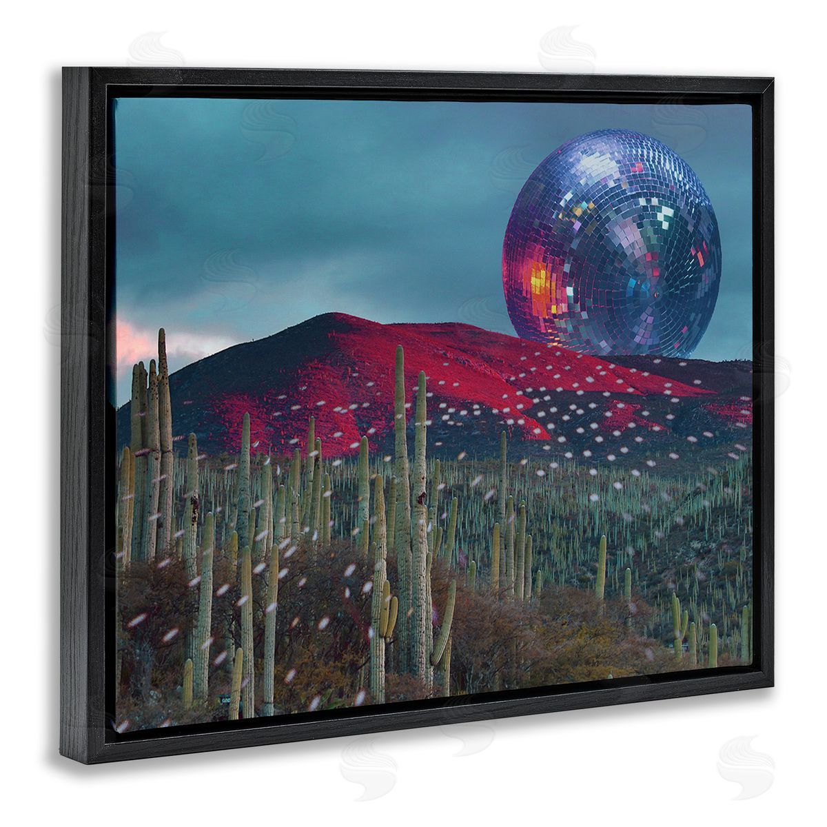 Stupell Studio Disco Ball in Desert