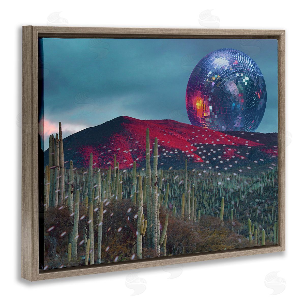 Stupell Studio Disco Ball in Desert