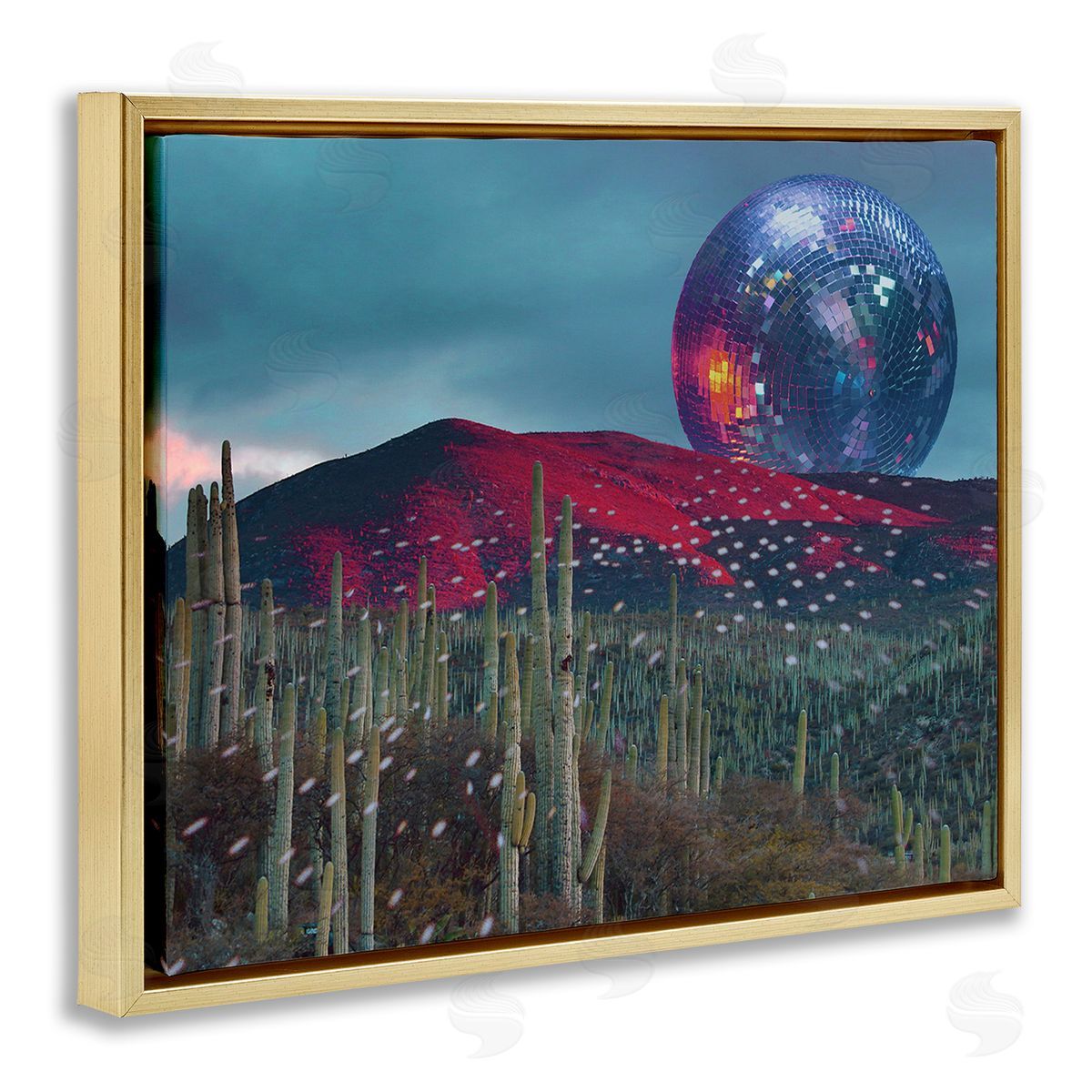 Stupell Studio Disco Ball in Desert