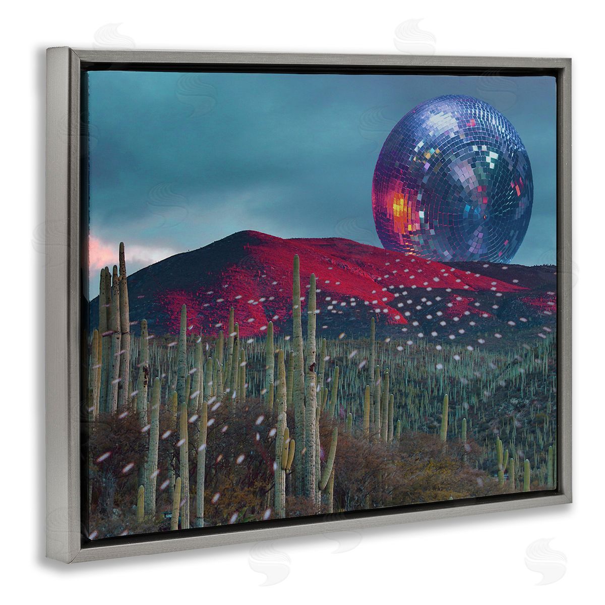 Stupell Studio Disco Ball in Desert