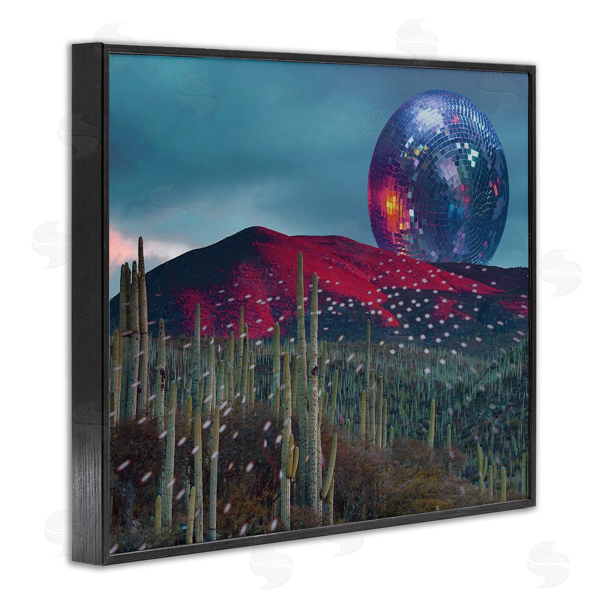 Stupell Studio Disco Ball in Desert