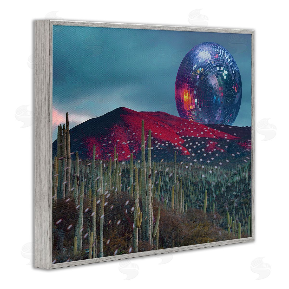 Stupell Studio Disco Ball in Desert