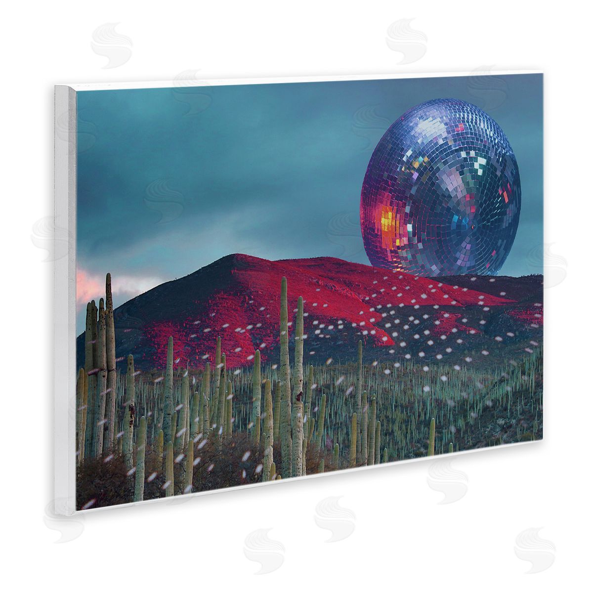 Stupell Studio Disco Ball in Desert