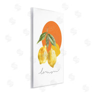 Carol Robinson | Modern Lemons Branch