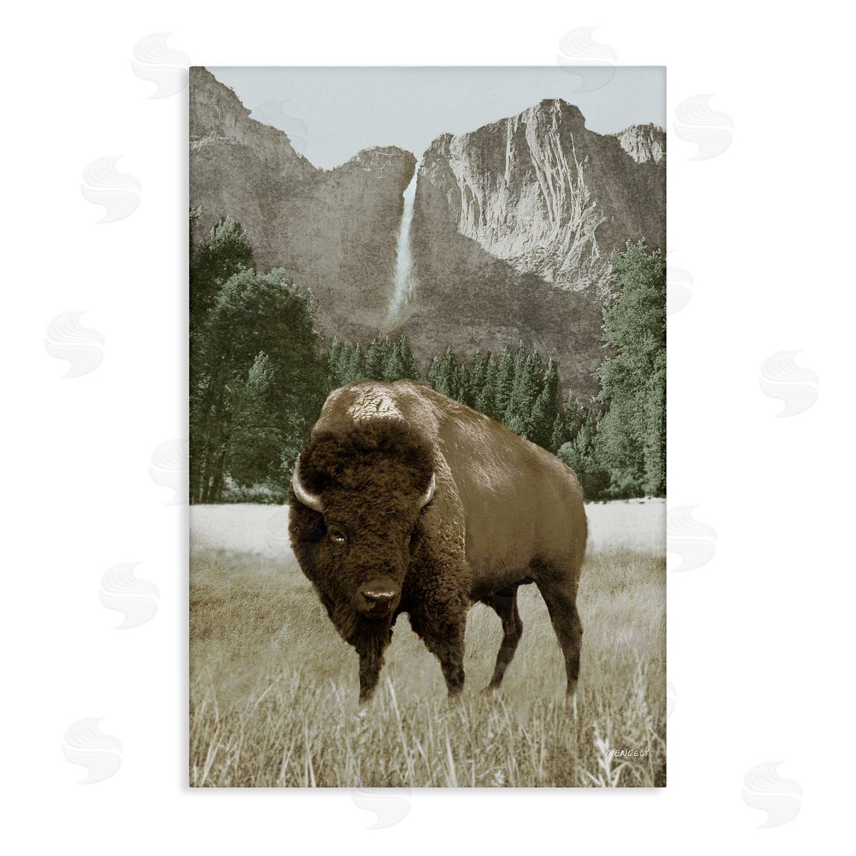 Bison and Mountain Landscape Canvas Wall Art, Home Decor by Dan Meneely