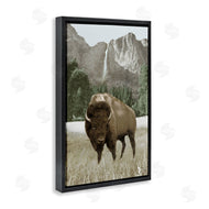Dan Meneely | Bison and Mountain Landscape