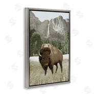 Dan Meneely | Bison and Mountain Landscape