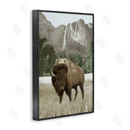 Dan Meneely | Bison and Mountain Landscape