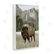 Dan Meneely | Bison and Mountain Landscape