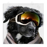 Sd Graphics Studio | Snowboarder Dog with Goggles
