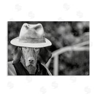 Sd Graphics Studio | Country Cowboy Dog
