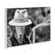 Sd Graphics Studio | Country Cowboy Dog