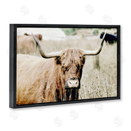 Sd Graphics Studio | Highland Cattle in Field