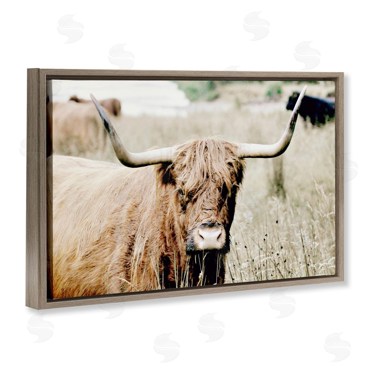 Highland Cattle in Field Brown Floating Frame Canvas Wall Art, Home Decor by Sd Graphics Studio
