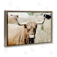Sd Graphics Studio | Highland Cattle in Field