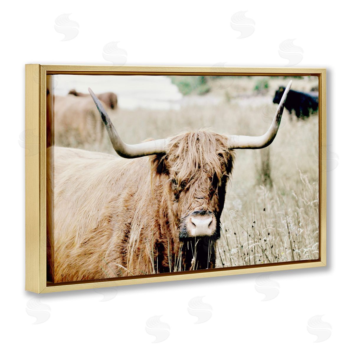 Highland Cattle in Field Gold Floating Frame Canvas Wall Art, Home Decor by Sd Graphics Studio