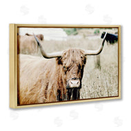 Sd Graphics Studio | Highland Cattle in Field