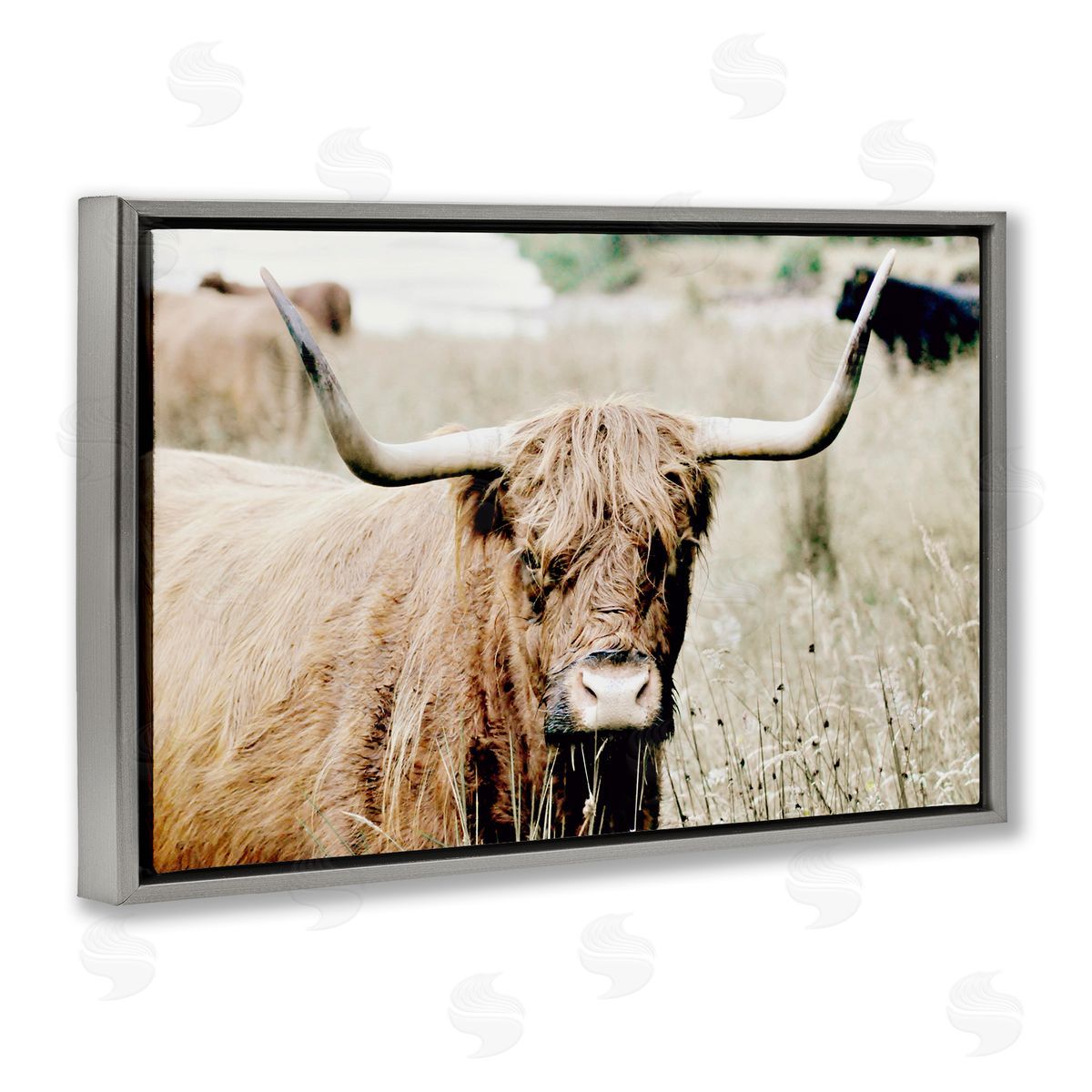 Highland Cattle in Field Grey Floating Frame Canvas Wall Art, Home Decor by Sd Graphics Studio