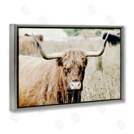 Sd Graphics Studio | Highland Cattle in Field