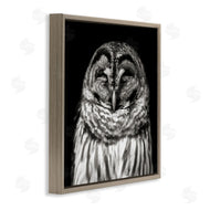 Kathy Mansfield | Sleeping Owl Portrait