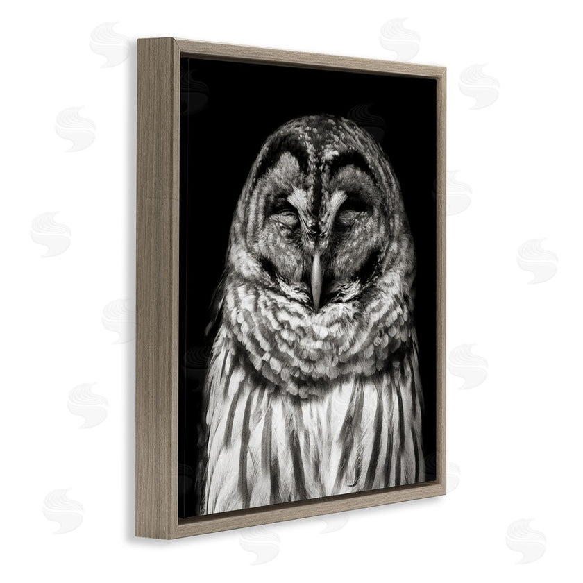 Kathy Mansfield | Sleeping Owl Portrait