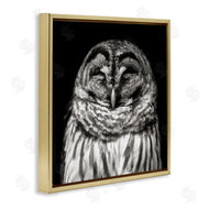 Kathy Mansfield | Sleeping Owl Portrait