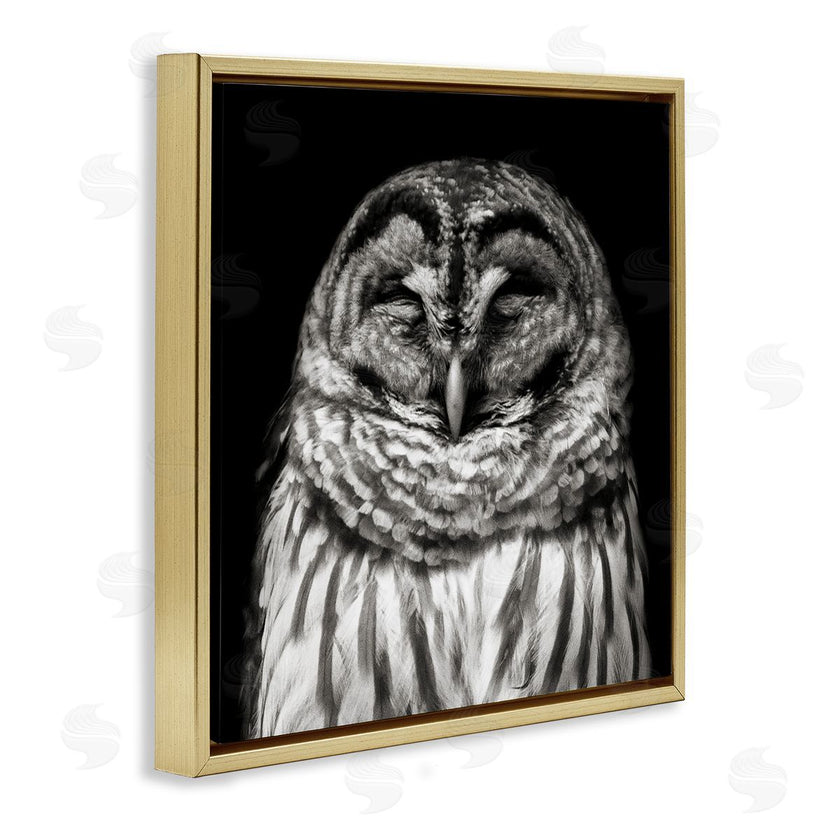 Kathy Mansfield | Sleeping Owl Portrait