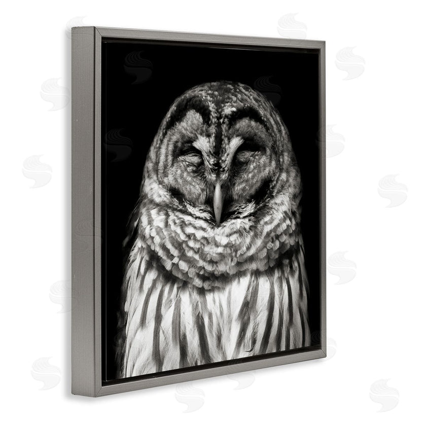 Kathy Mansfield | Sleeping Owl Portrait