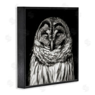 Kathy Mansfield | Sleeping Owl Portrait