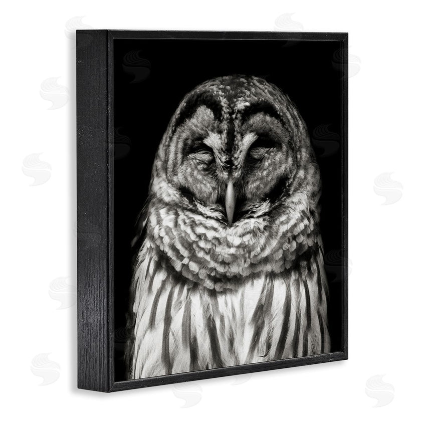 Kathy Mansfield | Sleeping Owl Portrait