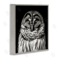 Kathy Mansfield | Sleeping Owl Portrait