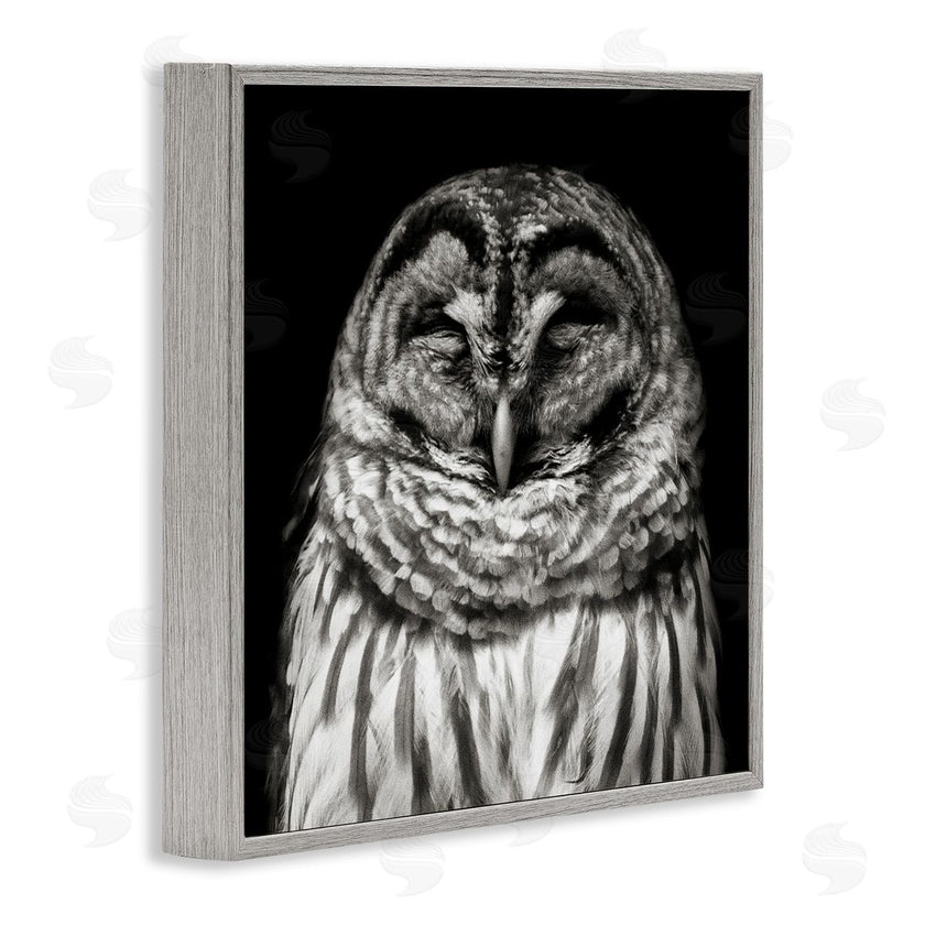 Kathy Mansfield | Sleeping Owl Portrait