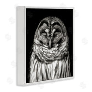 Kathy Mansfield | Sleeping Owl Portrait
