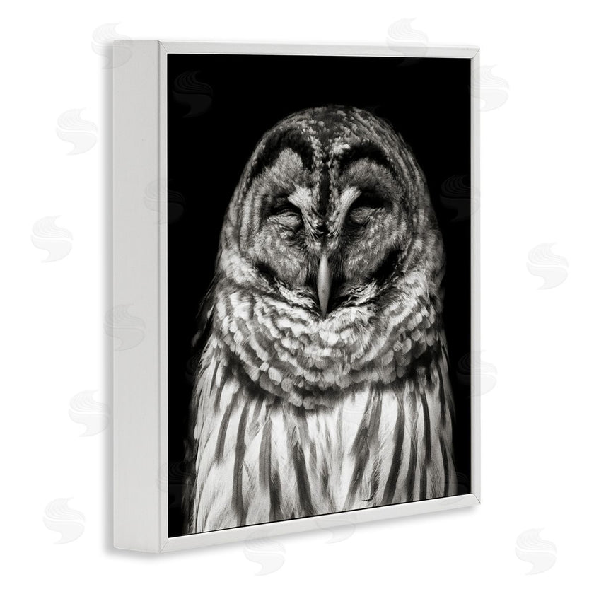 Kathy Mansfield | Sleeping Owl Portrait
