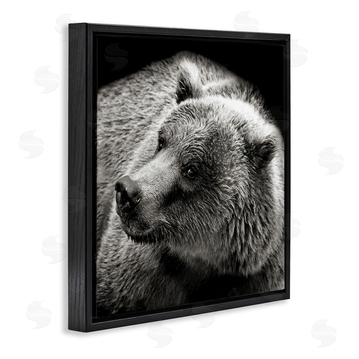 Bear Looking Left Black Floating Frame Canvas Wall Art, Home Decor by Kathy Mansfield