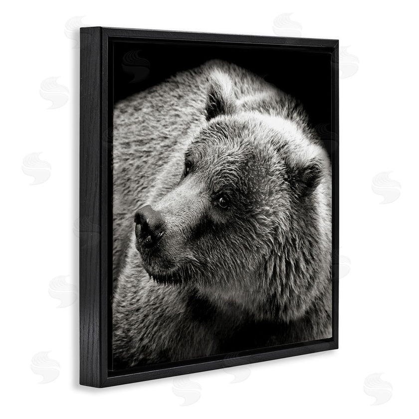 Kathy Mansfield | Bear Looking Left
