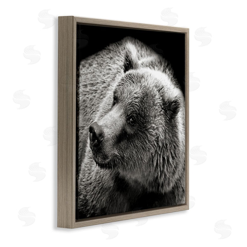 Kathy Mansfield | Bear Looking Left