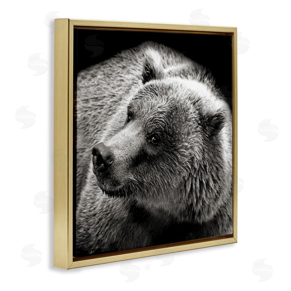 Bear Looking Left Gold Floating Frame Canvas Wall Art, Home Decor by Kathy Mansfield