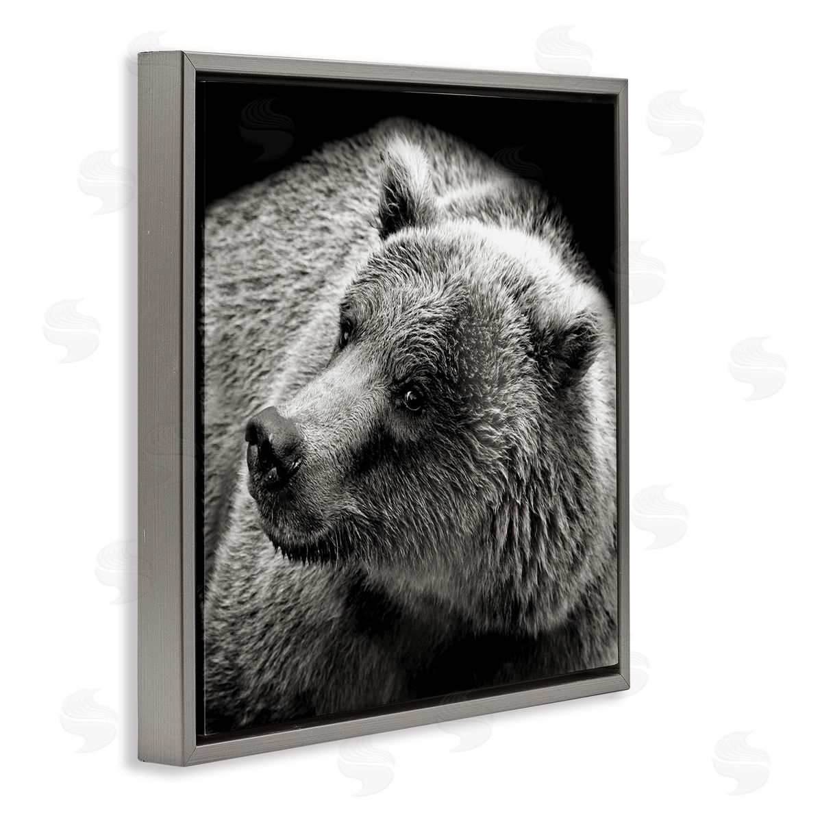 Bear Looking Left Grey Floating Frame Canvas Wall Art, Home Decor by Kathy Mansfield