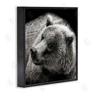 Kathy Mansfield | Bear Looking Left