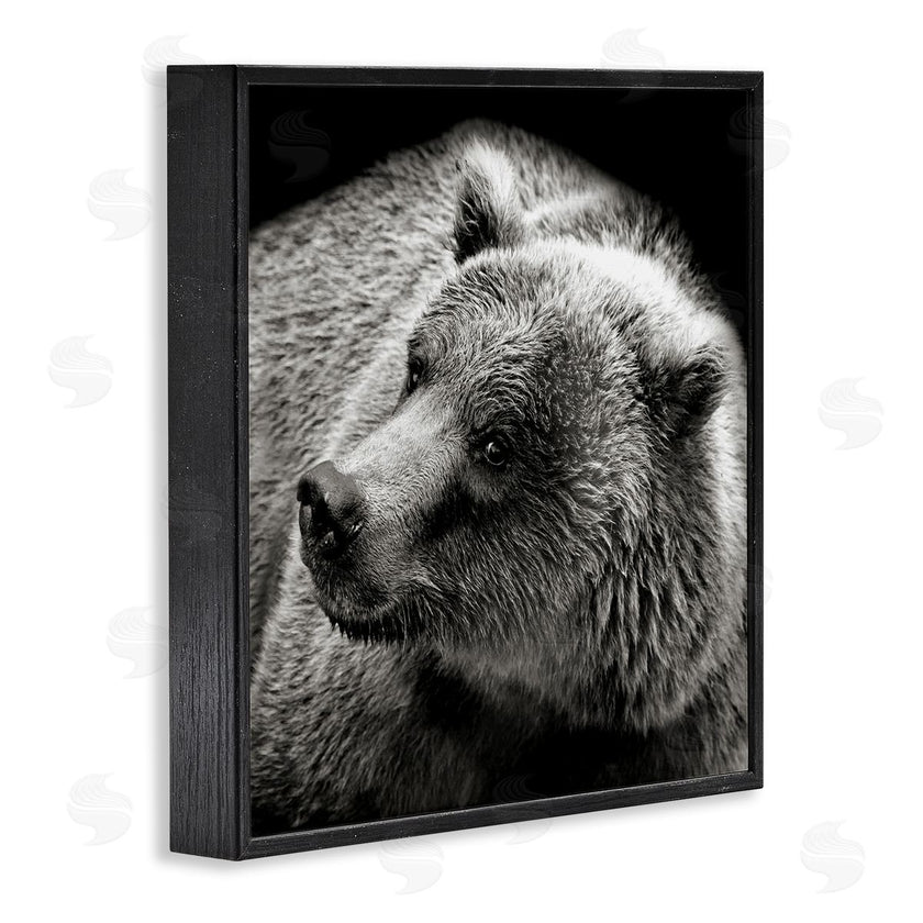 Kathy Mansfield | Bear Looking Left